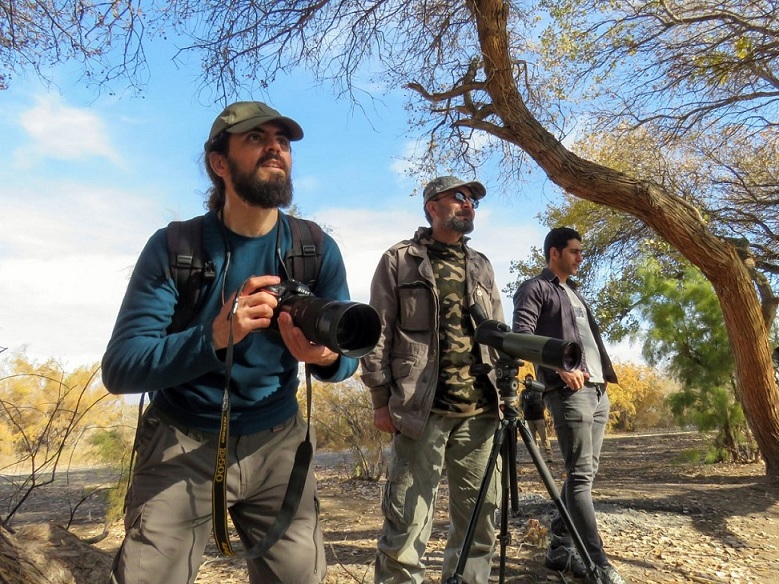 پرنده‌نگری